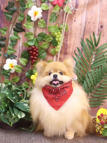 20230811梛都ちゃん